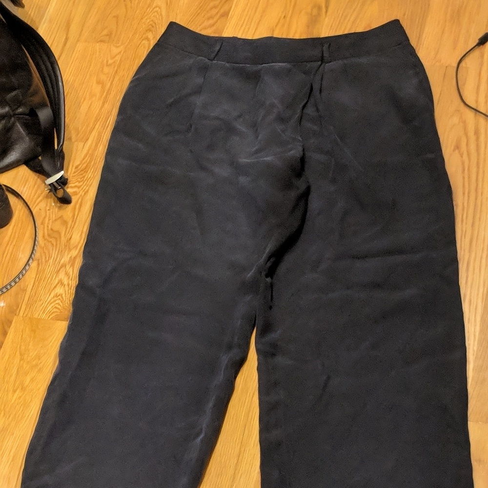 Silk Pants - image 1